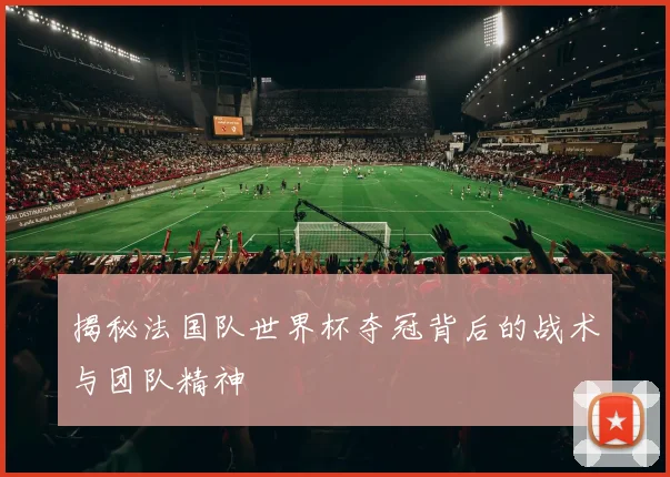 揭秘法国队世界杯夺冠背后的战术与团队精神